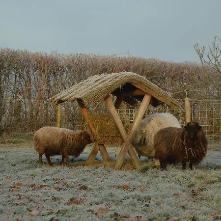 De Hinde Bed & Breakfast Laag-Soeren
