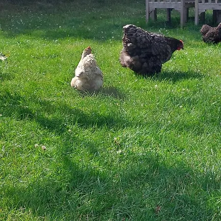 De Hinde * Laag-Soeren