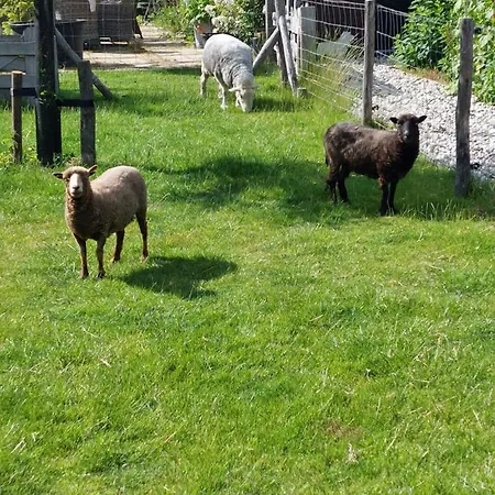 Bed & Breakfast De Hinde