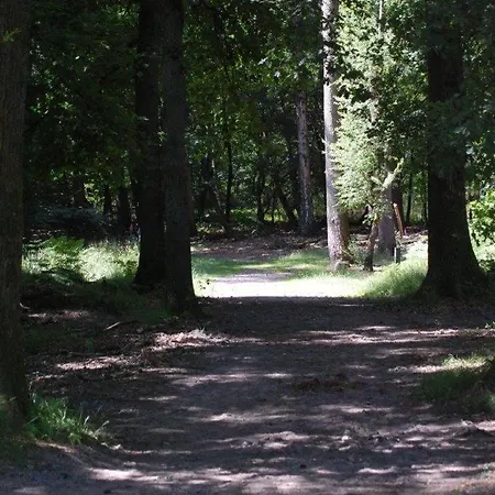 De Hinde Bed & Breakfast *