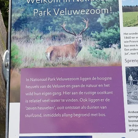 De Hinde Laag-Soeren