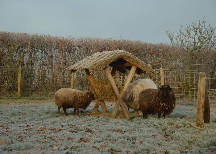 De Hinde Oda ve Kahvaltı Laag-Soeren