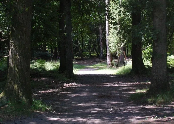 De Hinde Oda ve Kahvaltı *