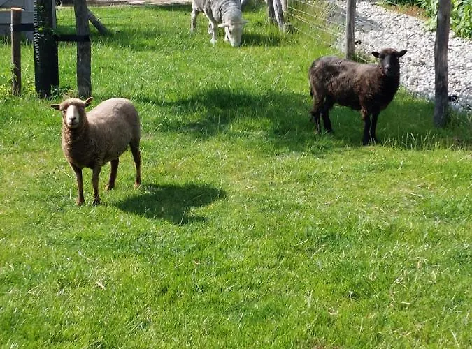 Oda ve Kahvaltı De Hinde