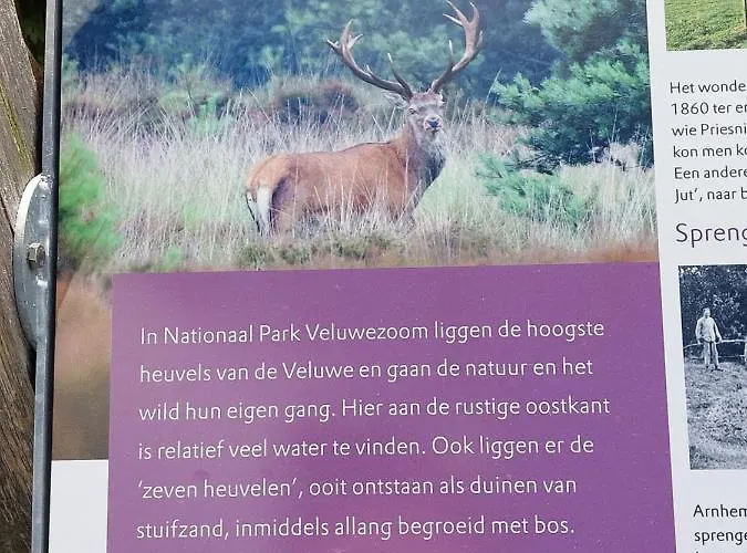 De Hinde Laag-Soeren